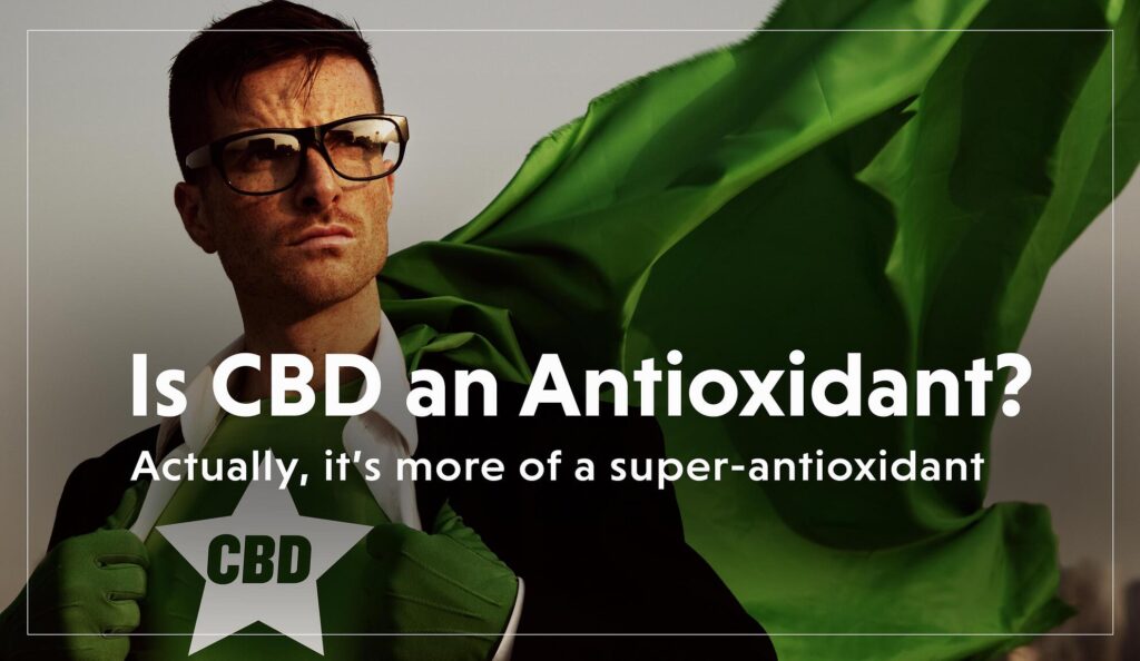 Is CBD an Antioxidant