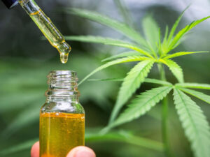 How is CBD Oil Made