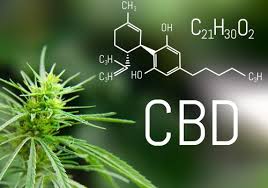 Cannabis and covid-19