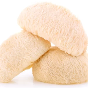 lions mane mushroom extract powder organic mushroom powders z natural foods 5 lbs 824686 900x 1