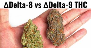 Delta 8 THC vs Delta-9 THC.